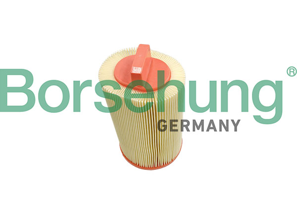 Borsehung B13055 Air Filter