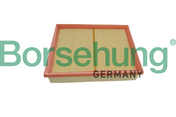 Borsehung B13059 Air Filter