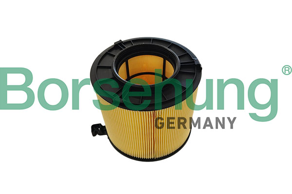 Borsehung B13067 Air Filter