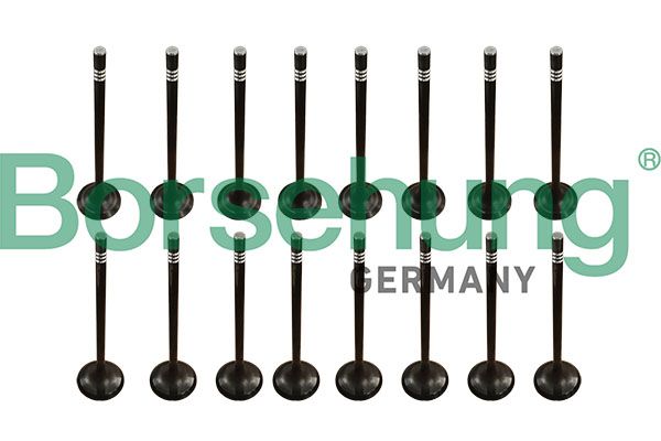 Valve Kit, intake/exhaust valve