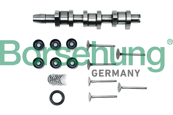 Borsehung B17130 Repair Kit, intermediate shaft