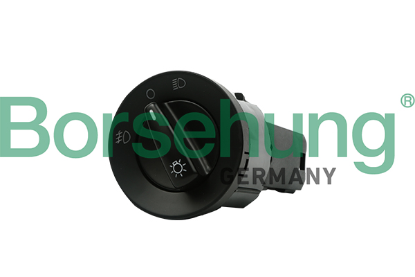 Borsehung B17999 Switch, headlight