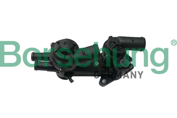 Borsehung B18249 Termostat chladenia