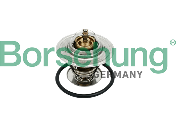 Borsehung B18259 Termostat chladenia