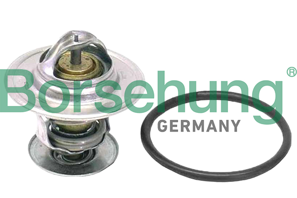 Borsehung B18262 Termostat chladenia