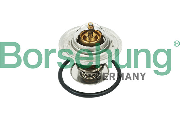 Borsehung B18268 Termostat chladenia