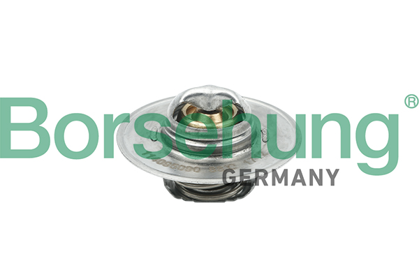 Borsehung B18280 Termostat chladenia