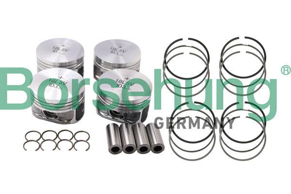 Borsehung B18669 Piston