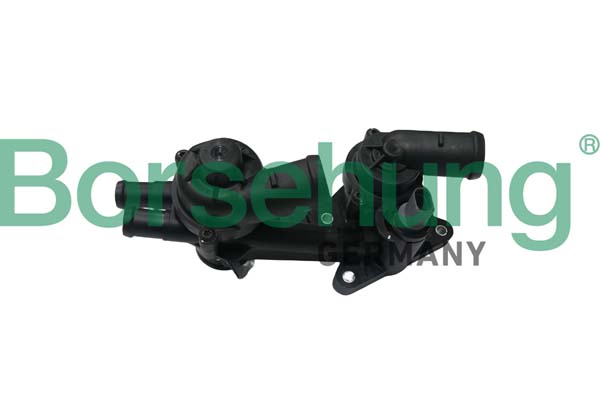 Borsehung B18723 Termostat chladenia