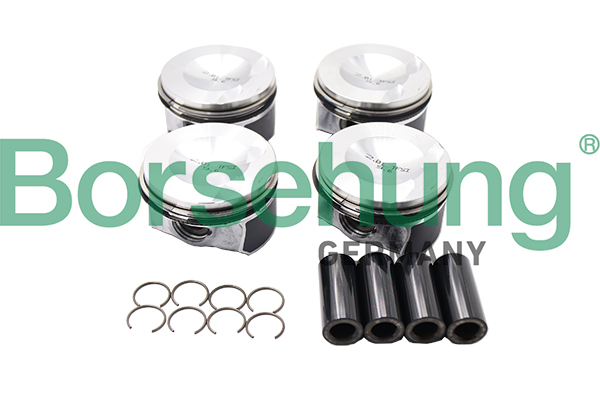 Borsehung B18741 Piest