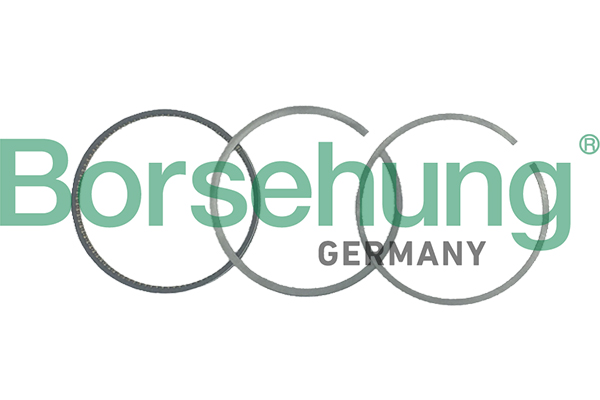 Borsehung B19048 Piston Ring Kit