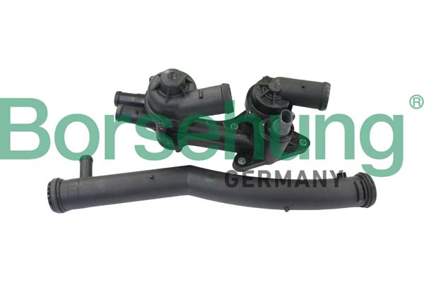Borsehung B19086 Termostat chladenia