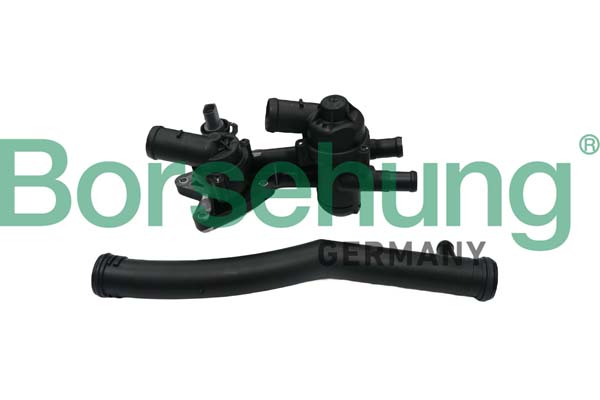 Borsehung B19087 Termostat chladenia