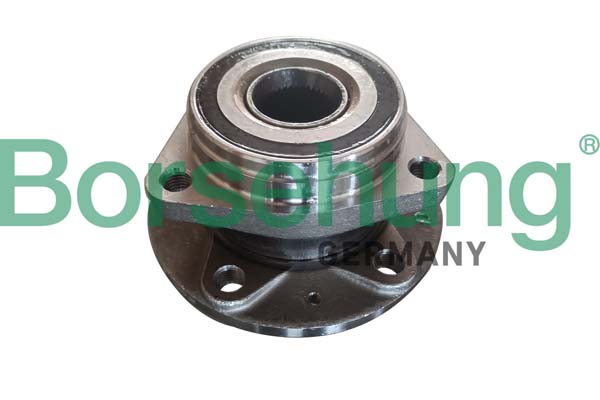 Borsehung B19118 Súprava ložísk kolesa