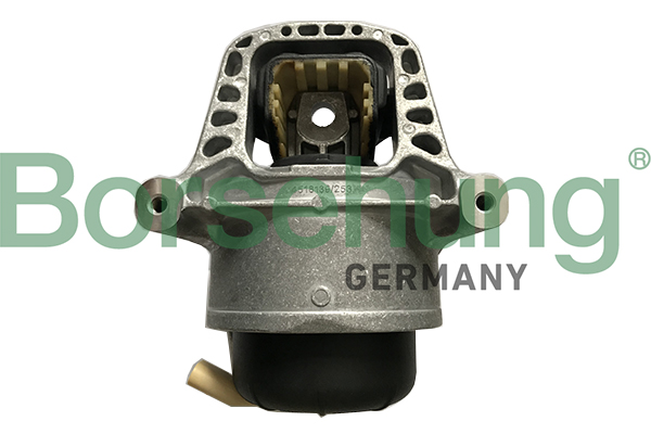 Borsehung B19134 Mounting, engine