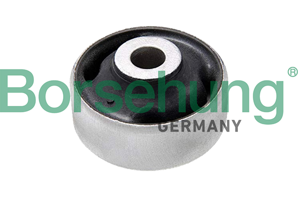 Borsehung B19147 Mounting, control/trailing arm
