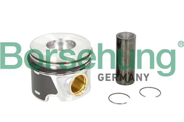 Borsehung B19300 Piest