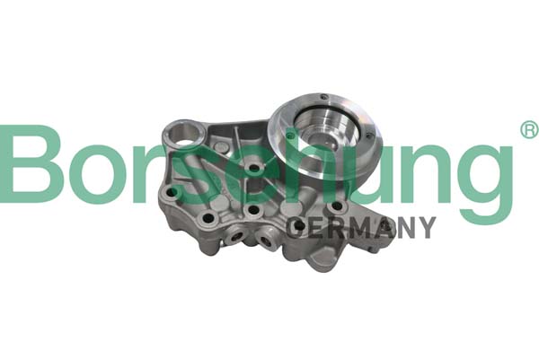 Borsehung B19307 Camshaft Bearing