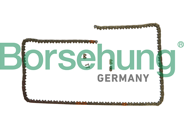 Borsehung B1C031 Timing Chain