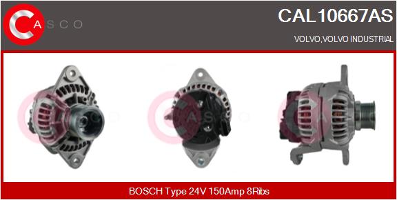 CASCO CAL10667AS Brand New...