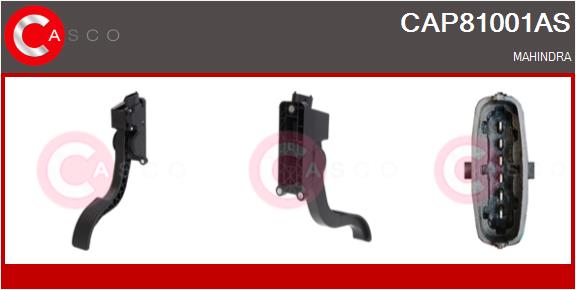 CASCO CAP81001AS Brand New...