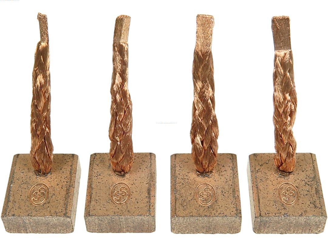 AS-PL BSX76(IKA) Brandneu IKA GmbH Kohlebürste, Starter