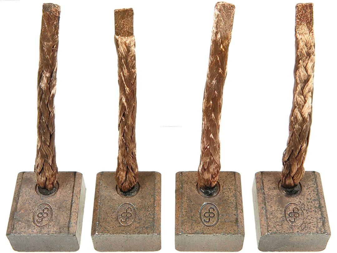 AS-PL BSX139(IKA) Brandneu IKA GmbH Kohlebürste, Starter