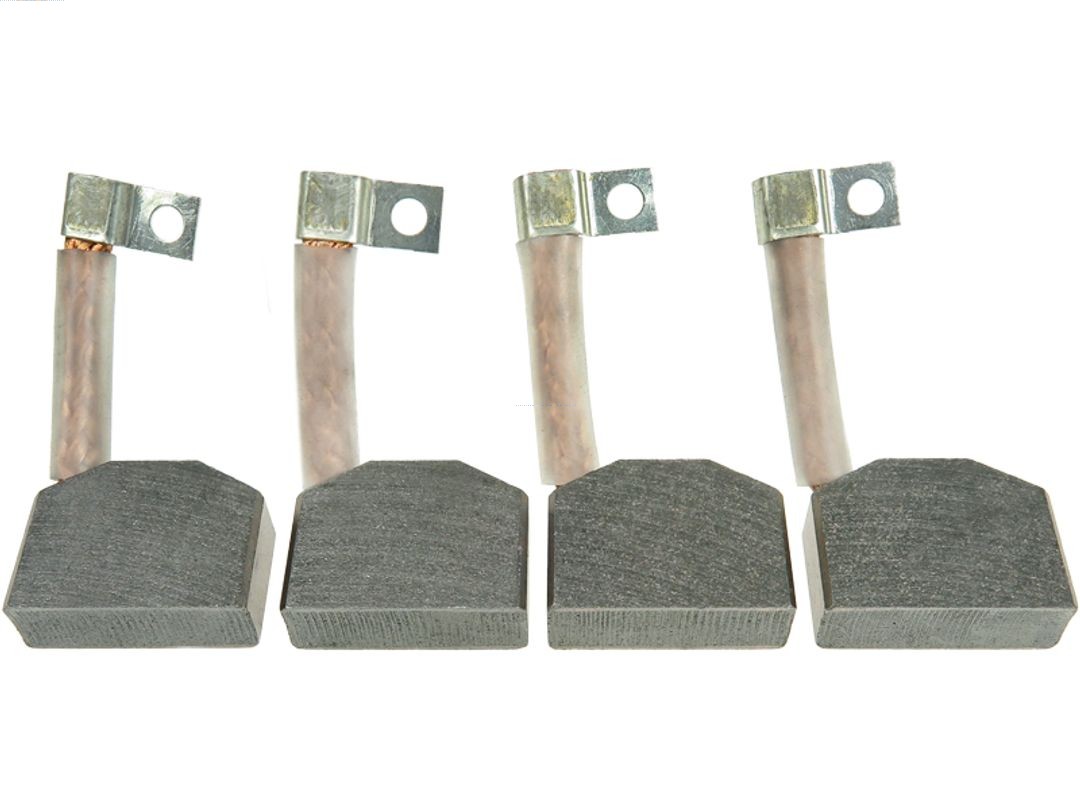 AS-PL BSX148(IKA) Brandneu IKA GmbH Kohlebürste, Starter