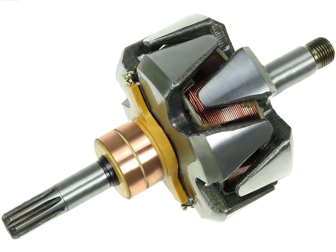 AS-PL AR2020S Rotore, Alternatore-Rotore, Alternatore-Ricambi Euro