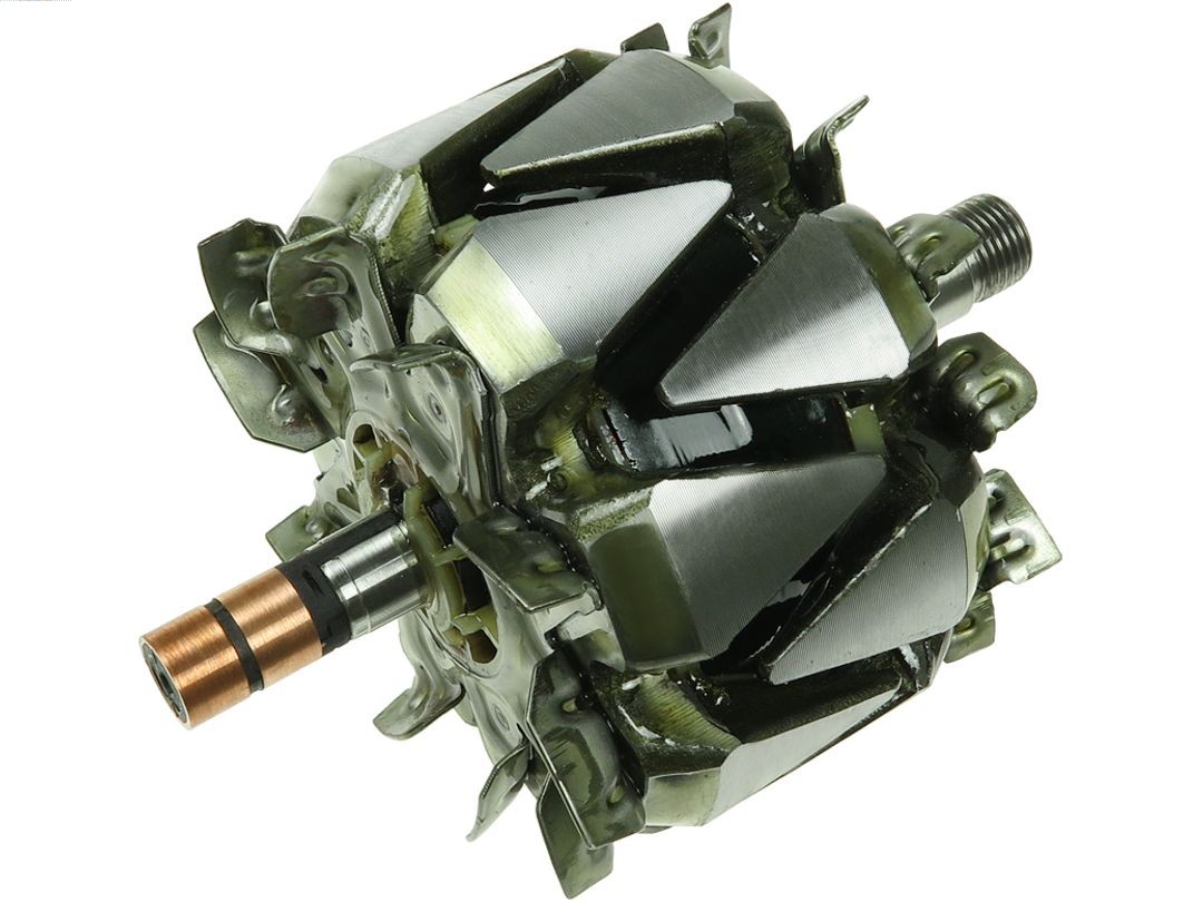 AS-PL AR3007 Rotore, Alternatore-Rotore, Alternatore-Ricambi Euro