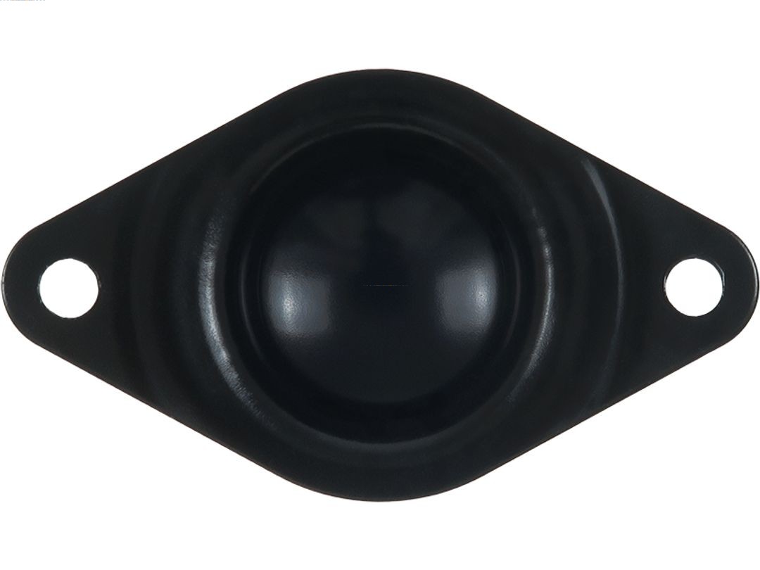 AS-PL SBR0060 Brandneu AS-PL Starterdeckel, Vergaser