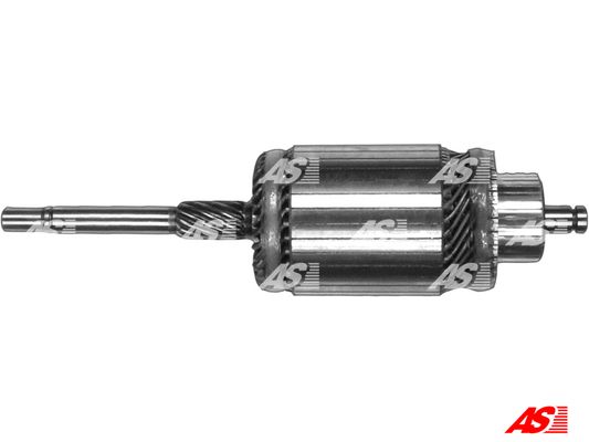 AS-PL SA4010 Ancorina, Starter