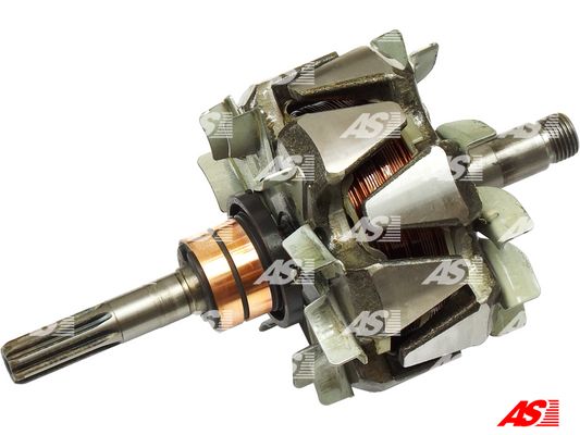 AS-PL AR2013 Rotore, Alternatore-Rotore, Alternatore-Ricambi Euro