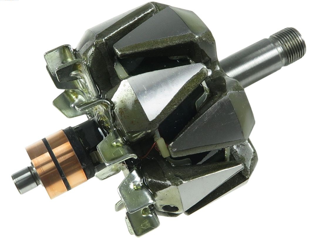 AS-PL AR1010 Rotore, Alternatore-Rotore, Alternatore-Ricambi Euro