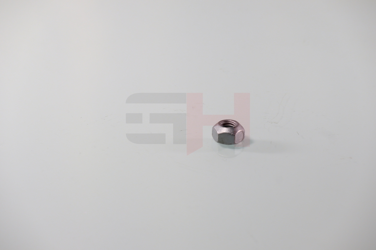 Nut, Kingpin (leaf spring hanger)