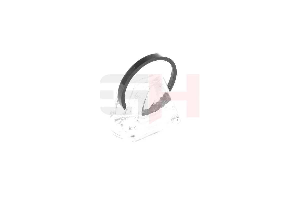 GH GH-493763 Sensor Ring, ABS