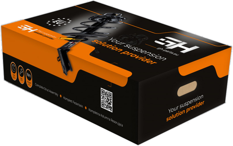 Suspension Kit, springs/shock absorbers