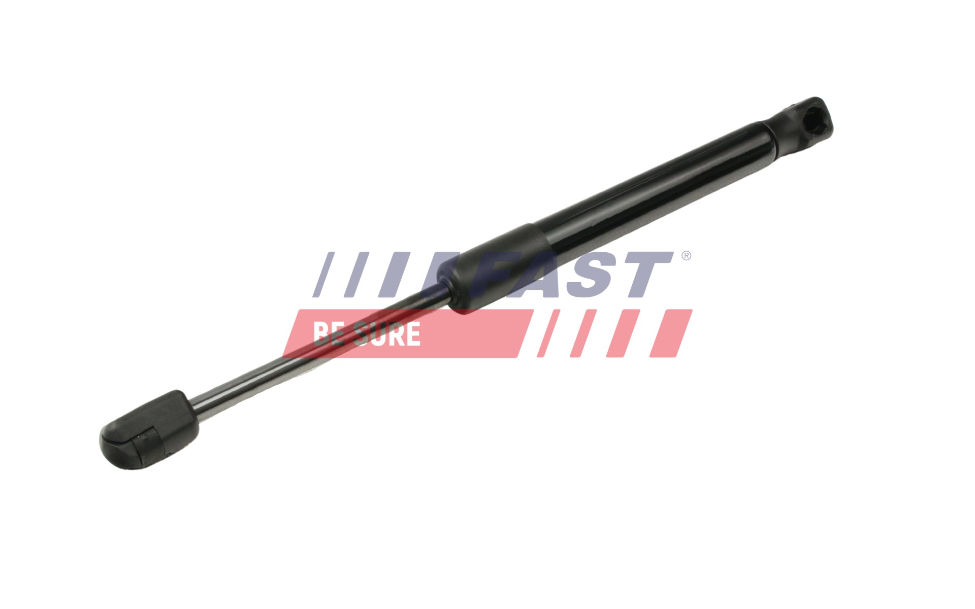 FAST FT00204 Gas Spring,...