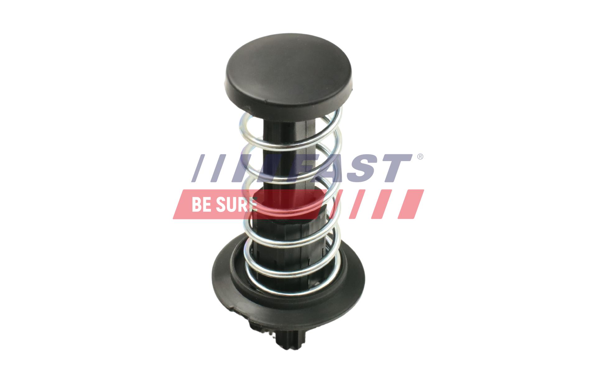 FAST FT00220 Gas Spring,...