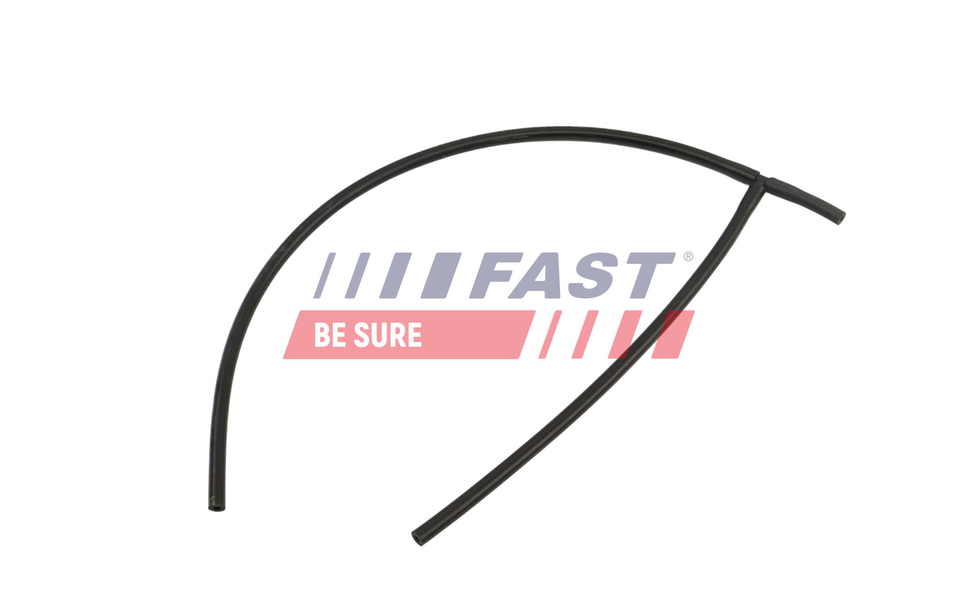 FAST FT00813 Vacuum Hose,...