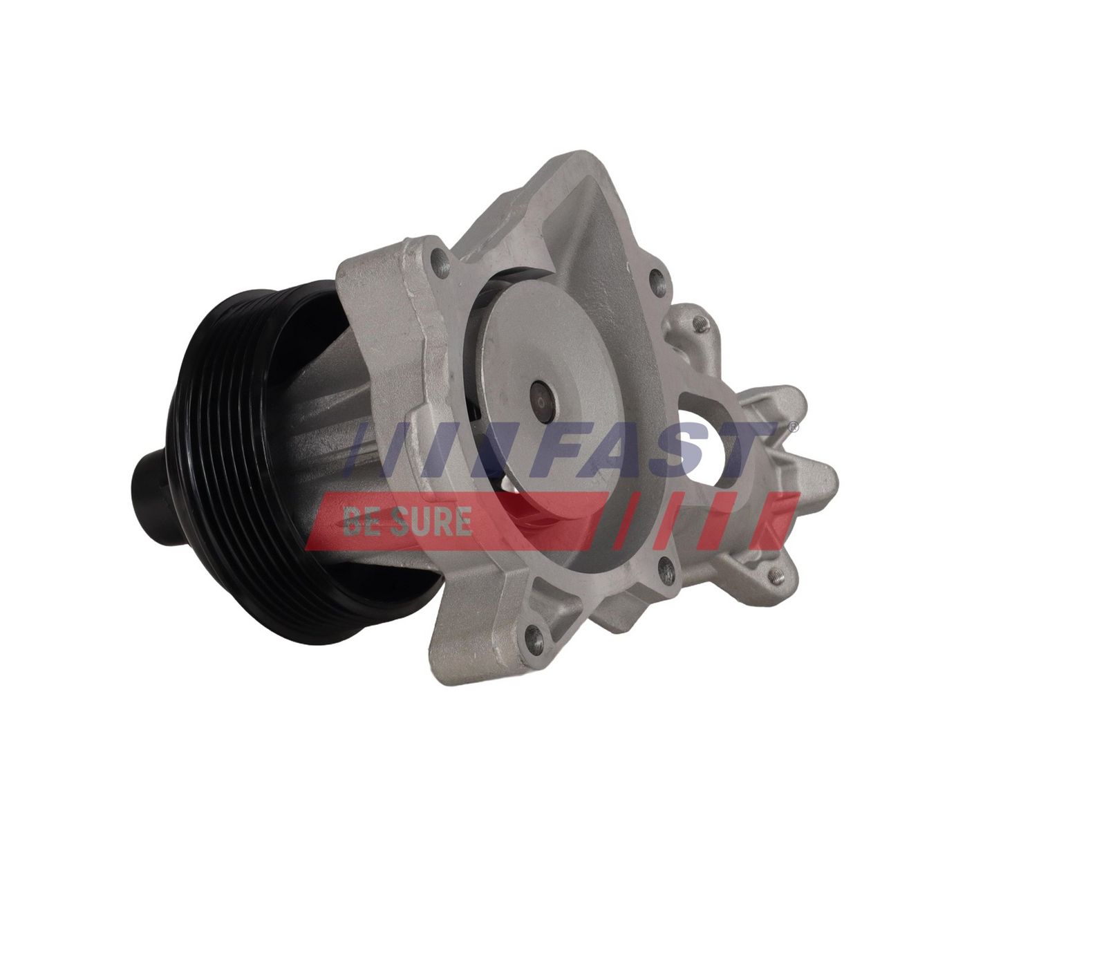 FAST FT04447 Water Pump, engine cooling