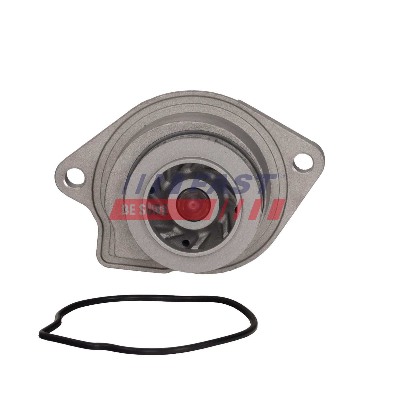 FAST FT04464 Water Pump, engine cooling