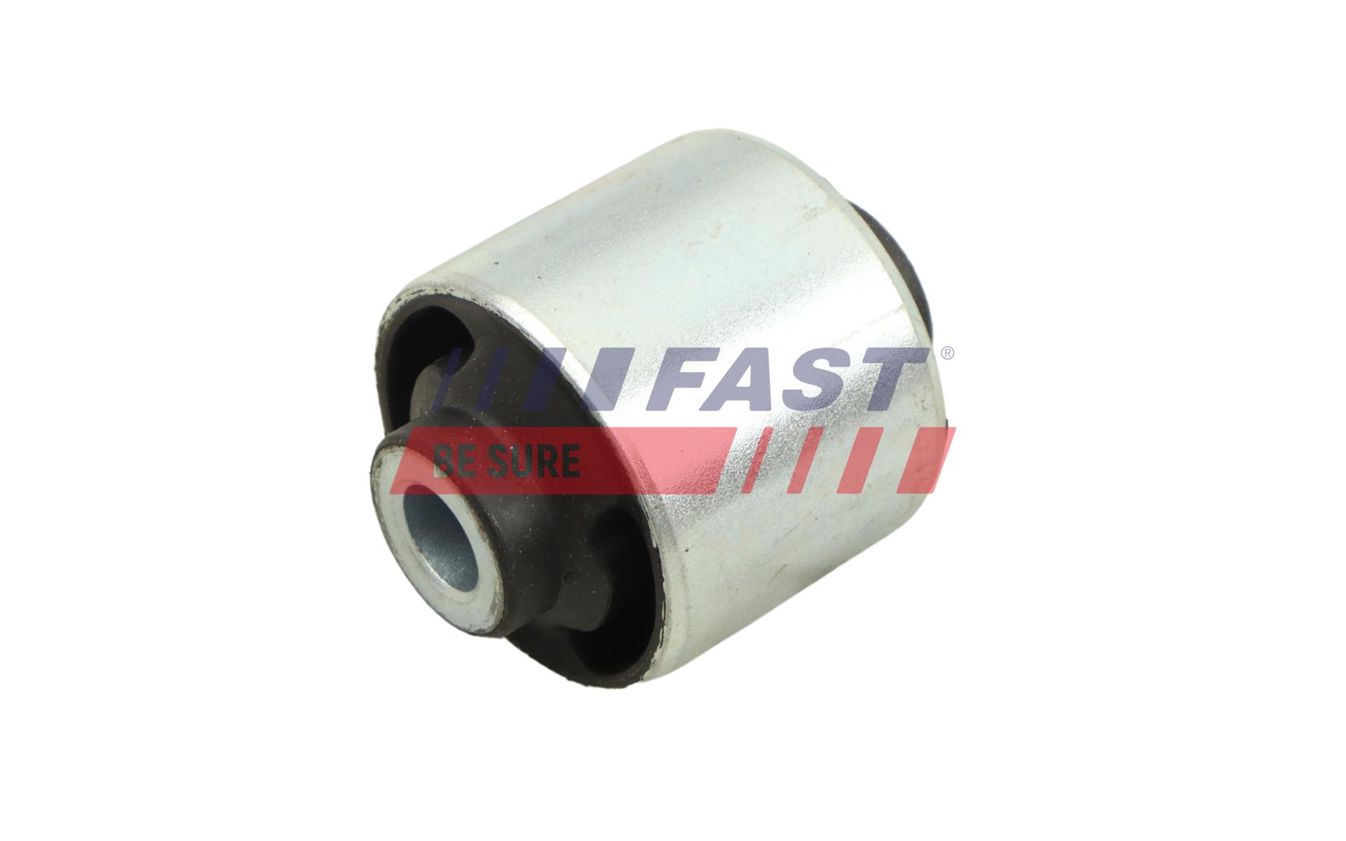 FAST FT10078 Mounting, engine