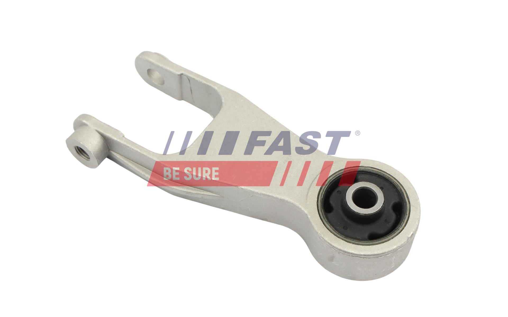 FAST FT10176 Mounting, engine