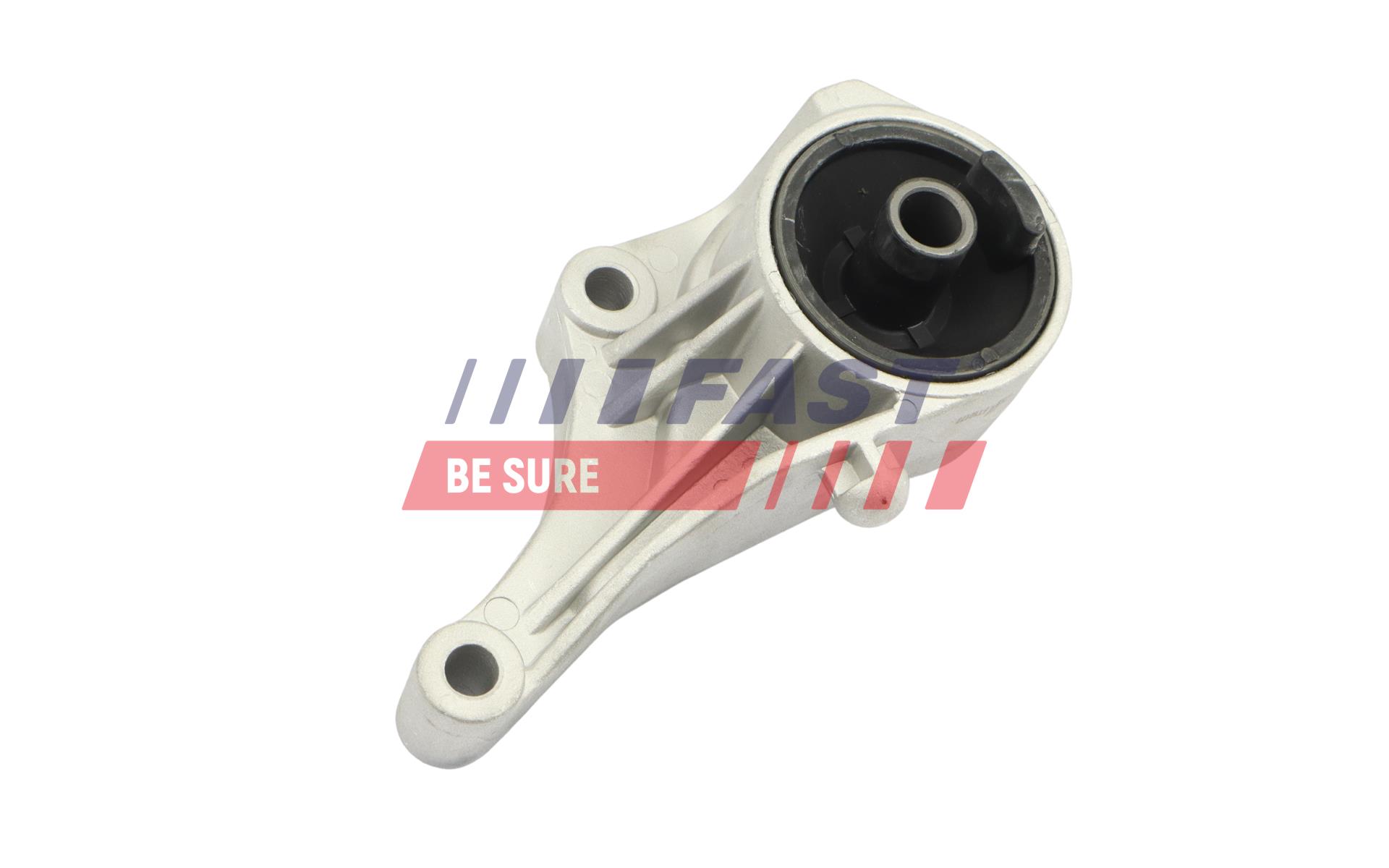 FAST FT10177 Mounting, engine