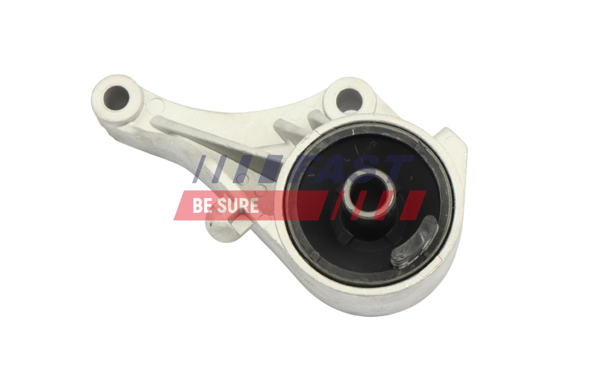 FAST FT10177 Mounting, engine