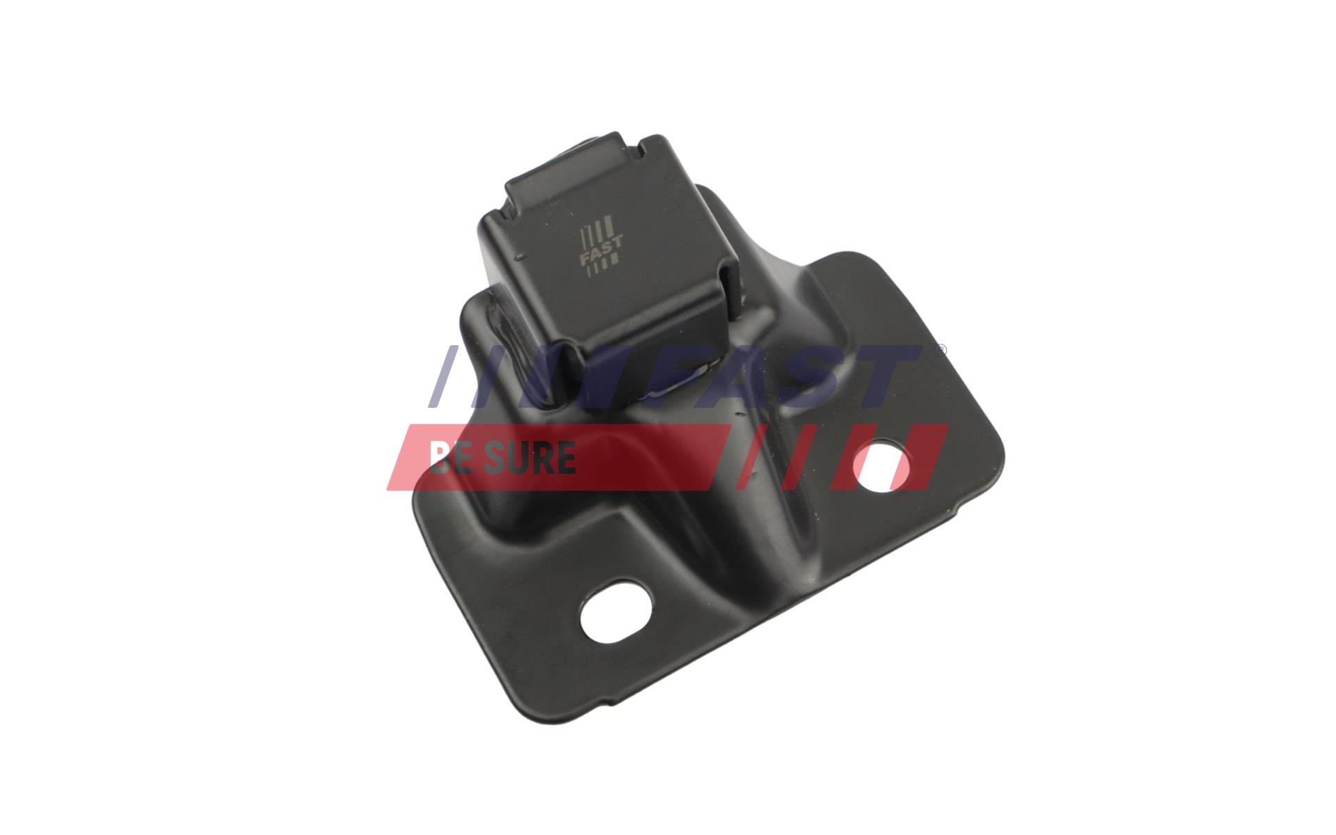 FAST FT10192 Strike Plate,...