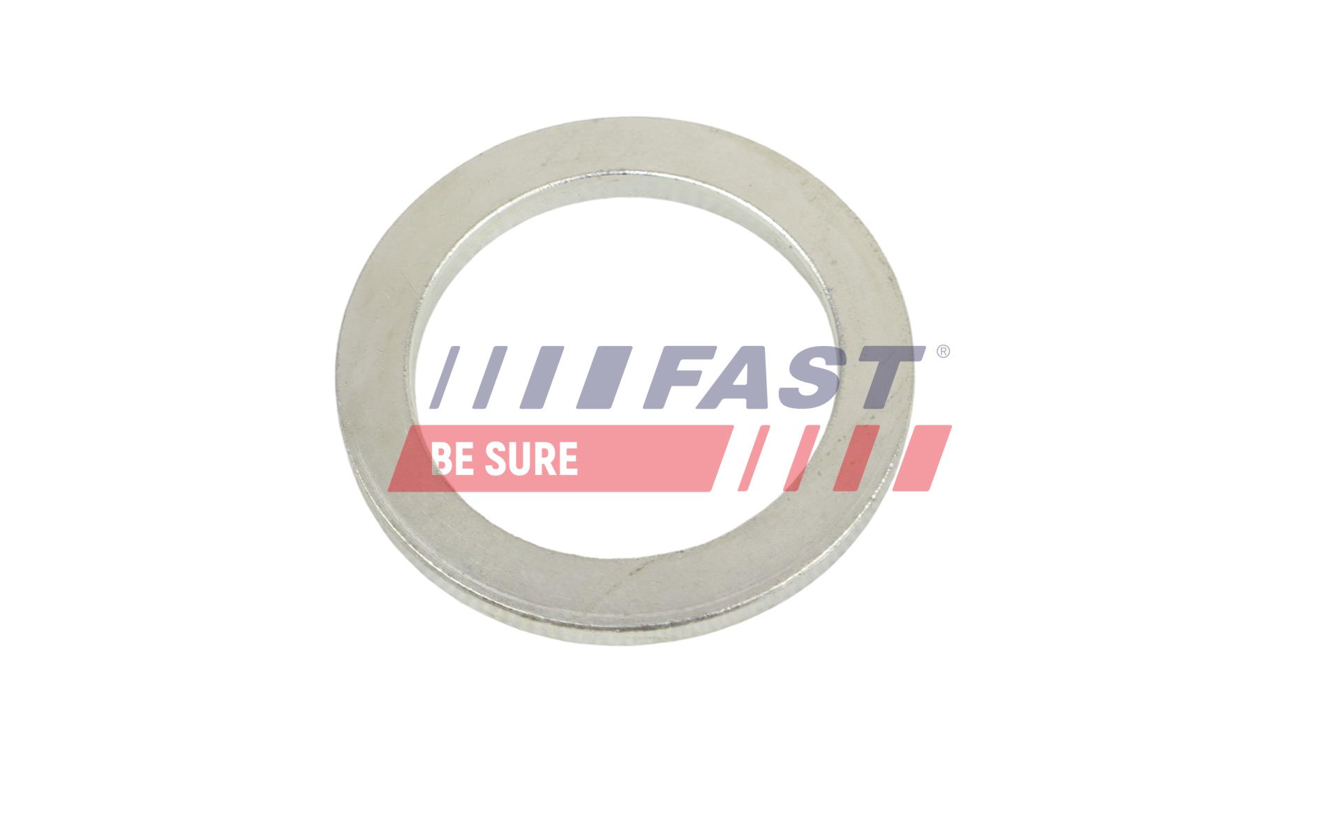 FAST FT10602 Seal Ring, steering knuckle