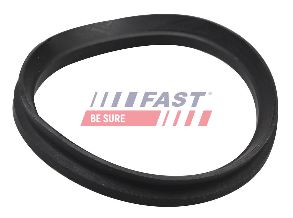 FAST FT12192 Seal,...