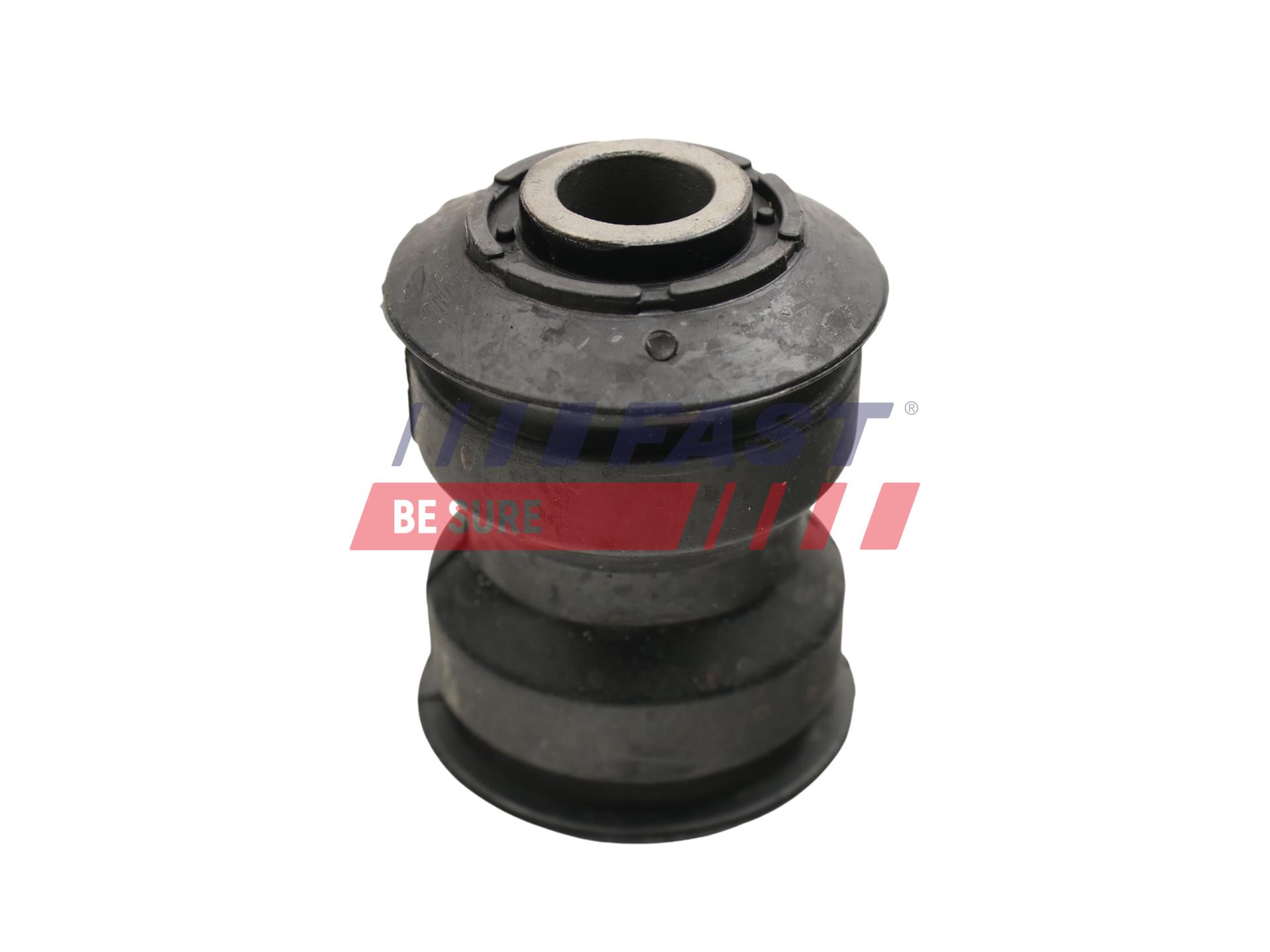 FAST FT13801 Bushing, leaf...